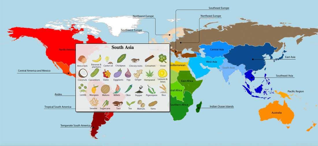 Exploring Global Flavors: A Culinary Travel Guide for 2025
